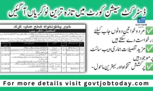 Local government jobs