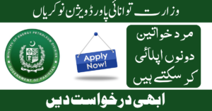 Ministry Of Energy Power Division Job