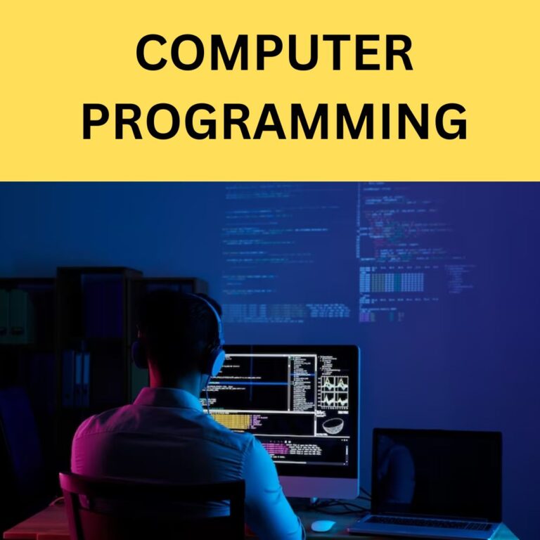 Computer Programmer Job